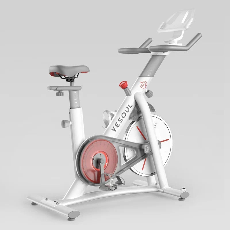 YESOUL S3 Indoor Exercise Bike Smart Black Cycling Bike Magnetic Stationary Bike Low Noise Indoor Cycling Bike for Home Gym Electric Stationary Bike with Tablet Mount