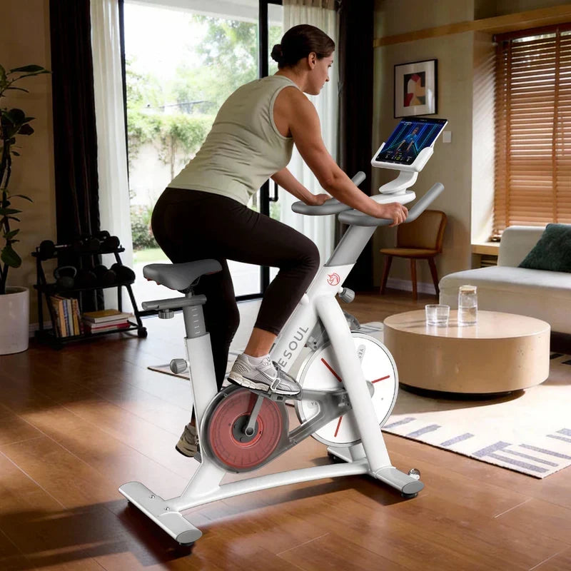 YESOUL S3 Indoor Exercise Bike Smart Black Cycling Bike Magnetic Stationary Bike Low Noise Indoor Cycling Bike for Home Gym Electric Stationary Bike with Tablet Mount