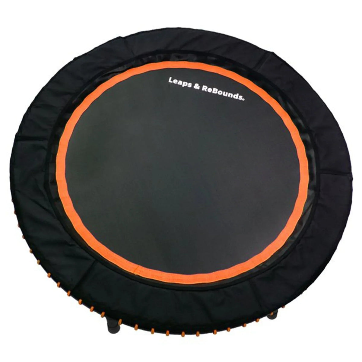 The Leaps & ReBounds Fitness Trampoline – Bungee Rebounder