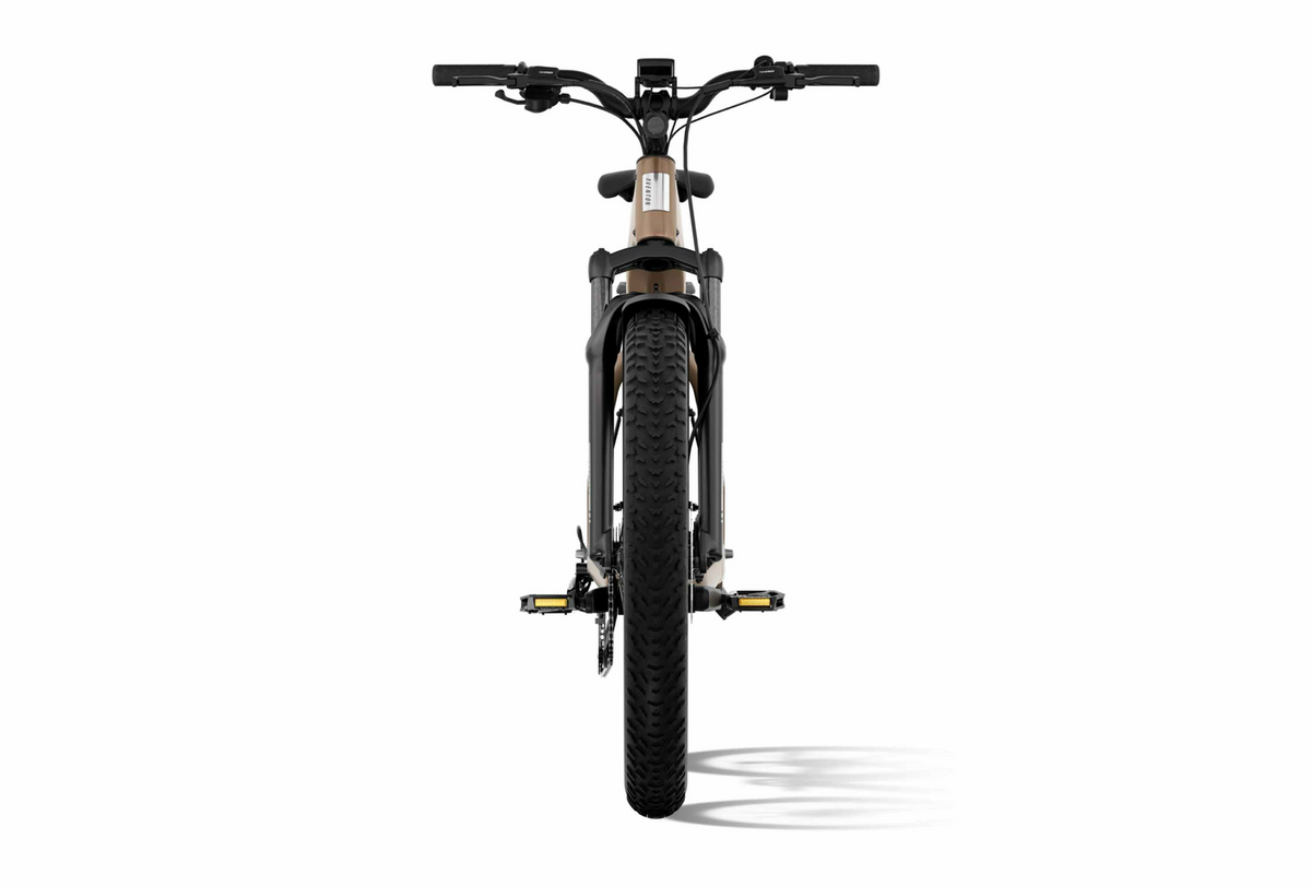 Aventon Aventure 3 Step-Through for E-bike