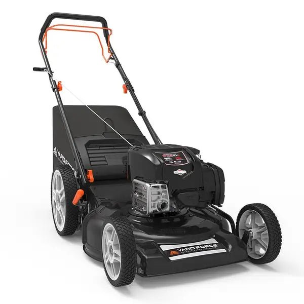bian-product-67-image-1.jpg